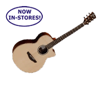 Faith FRMG – Perfect for all Acoustic Guitarists