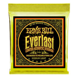 Ernie Ball Everlast 80/20 Bronze Acoustic Guitar Strings – (12-54)