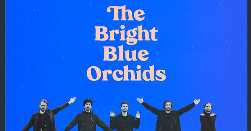 Read more about the article The Plastics Release A New Album ‘The Bright Blue Orchids’