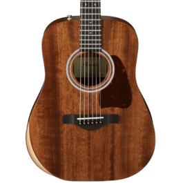 Ibanez Artwood AW54JR Acoustic Guitar – Open Pore Natural